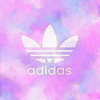 (   ˙-˙   )『ﾅ』