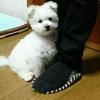 れいな
