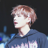 모모카 ☆ARMY