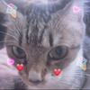 ふゆちゃんo(｀ω´)o