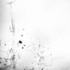 I.R