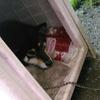 じゅな