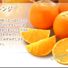 れんれん