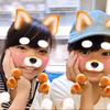 のどか