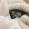 たっくう