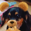 しょうが