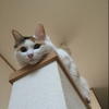 ❃ⓘⓣⓢⓤⓚⓘ❃