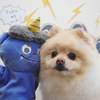 お兄ちゃんだお