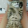 Ｓ♡Ｋ♡Ｒ( ´艸｀)