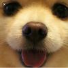 な