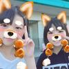 N ａｎａｍｉ( ु ›ω‹ ) ु♡