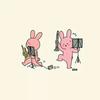 あいみつサボテン🌵🌵