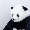 り