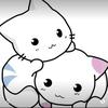 きょう