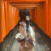 ユーザーアイコン