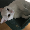 たかぽーん