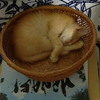 かんさわ