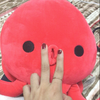SACHI