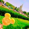 🍁( '-' 🍁️️ )ｶｴﾃﾞ