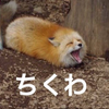 もしゃる