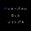 🦁ｱﾔｶ🐰