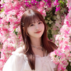 照山楓香🐼♥️福島美少女図鑑