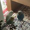 ユーザーアイコン