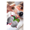 ゆま