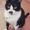 あみなつ