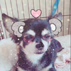 ☺︎ ERI ☺︎