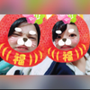 .─kanon─.❥🍾