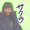 サ ク ラ  🐇 🌱