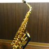 🎷こう🐶💋