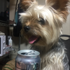 メリいざ