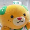 こばちゃん