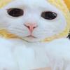 みな