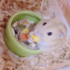 ぽんずちやん