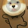 ゆぅくん🐯💩
