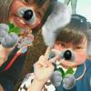 まる子へ進化したこぼうき