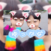 #ゆっかな©