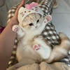 miu