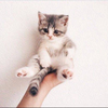 なかりゅう