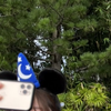 ミウ